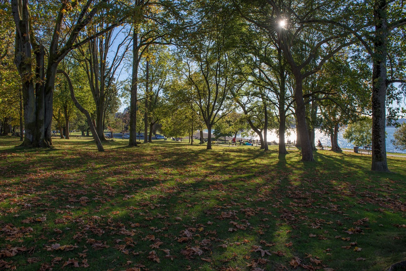 Harrison Park trails and green space in the heart of Owen Sound