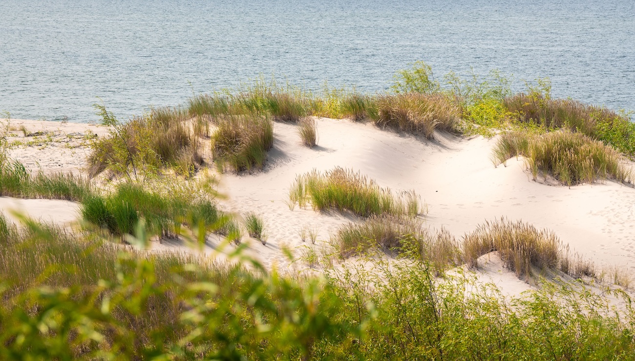 Wide sandy beach and coastal dunes at Pinery Provincial Park