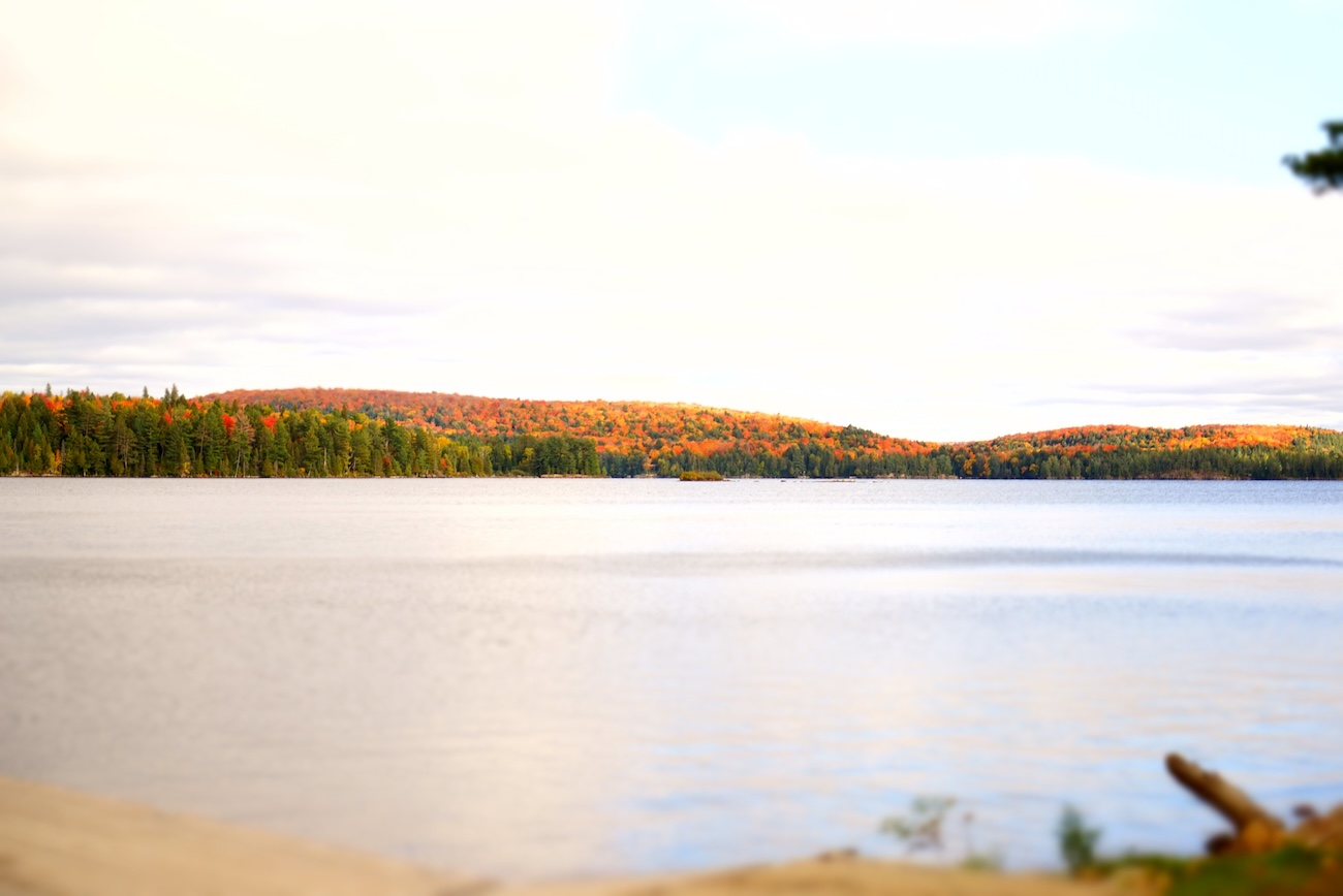 Canoeing on the calm Old Ausable Channel in Pinery Provincial Park