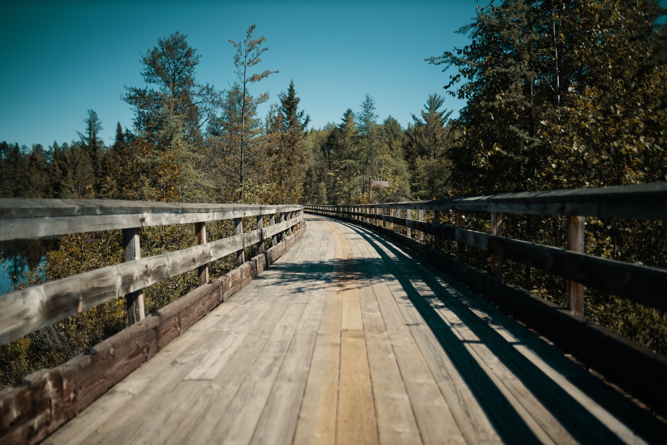Quiet trails in Point Pelee National Park Ontario