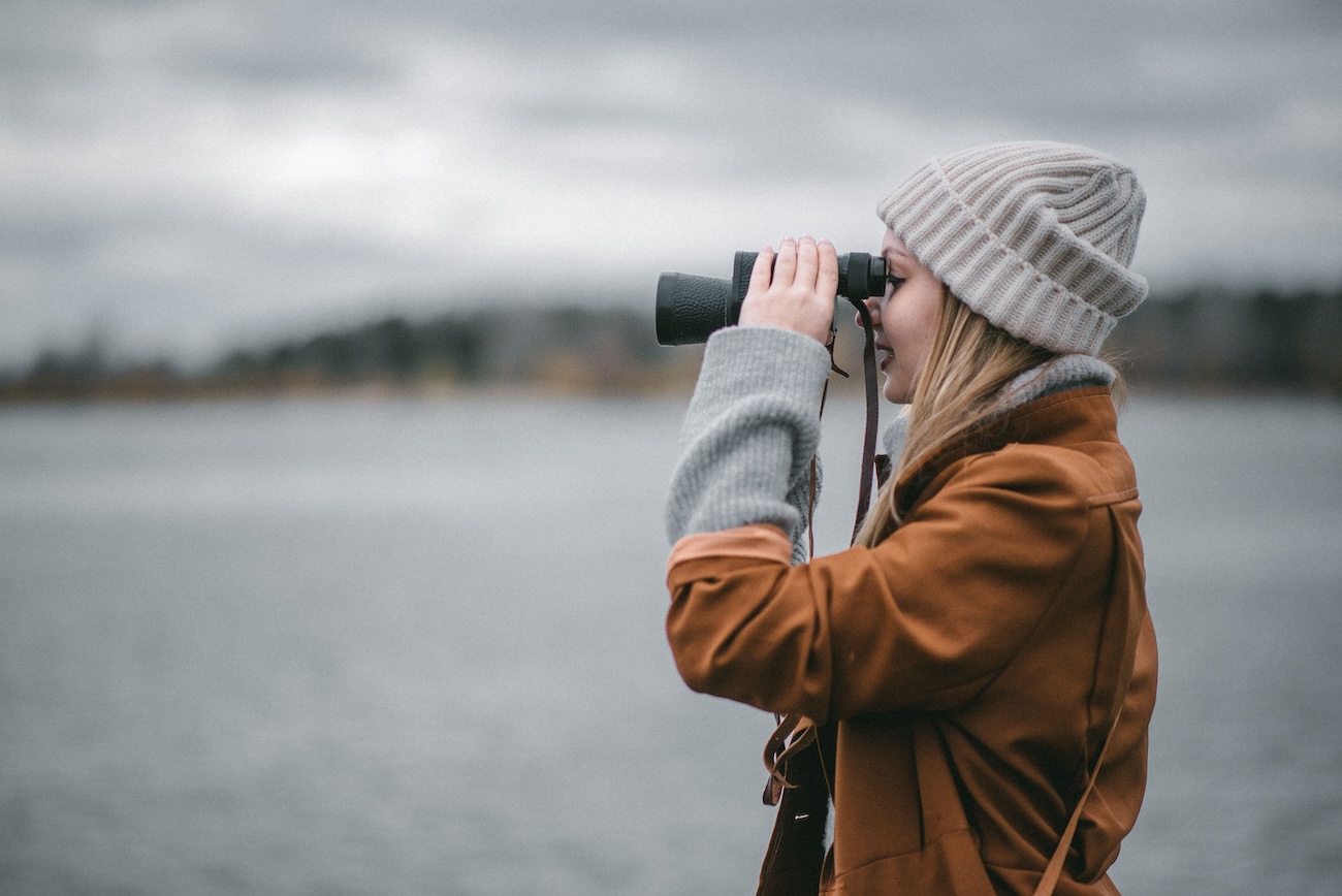 Birdwatchers observing migratory birds at Point Pelee National Park during spring