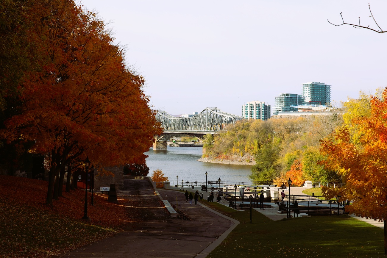 View over the Don Valley from Riverdale Park West Cabbagetown