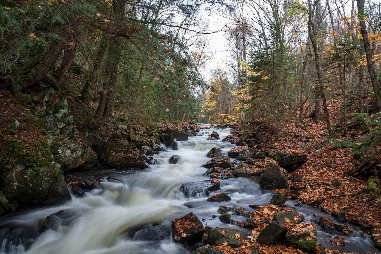 Hatchery Falls short forest trail near Bala Ontario