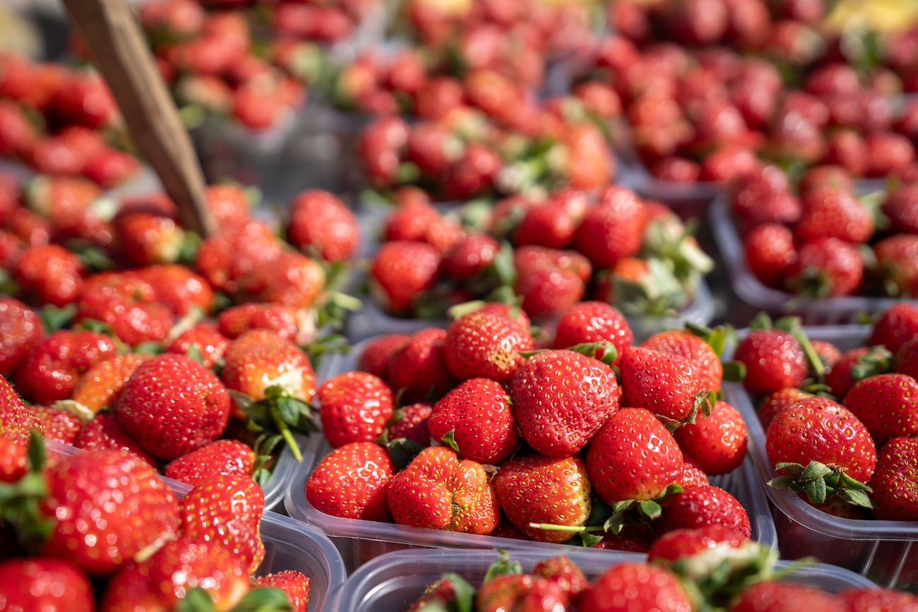 Stouffville Strawberry Festival community event